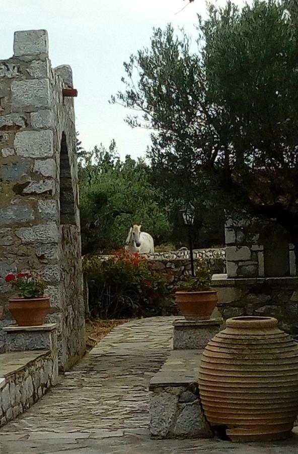 דירות Pírgos Dhiroú Charouda Stone Tower מראה חיצוני תמונה